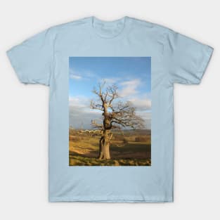 Old Oak Tree T-Shirt